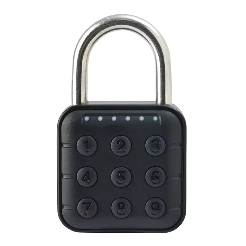 Password Padlock