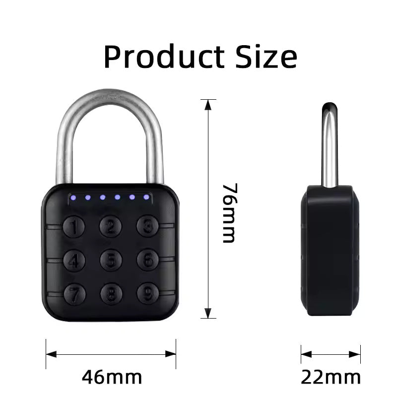 Password Padlock