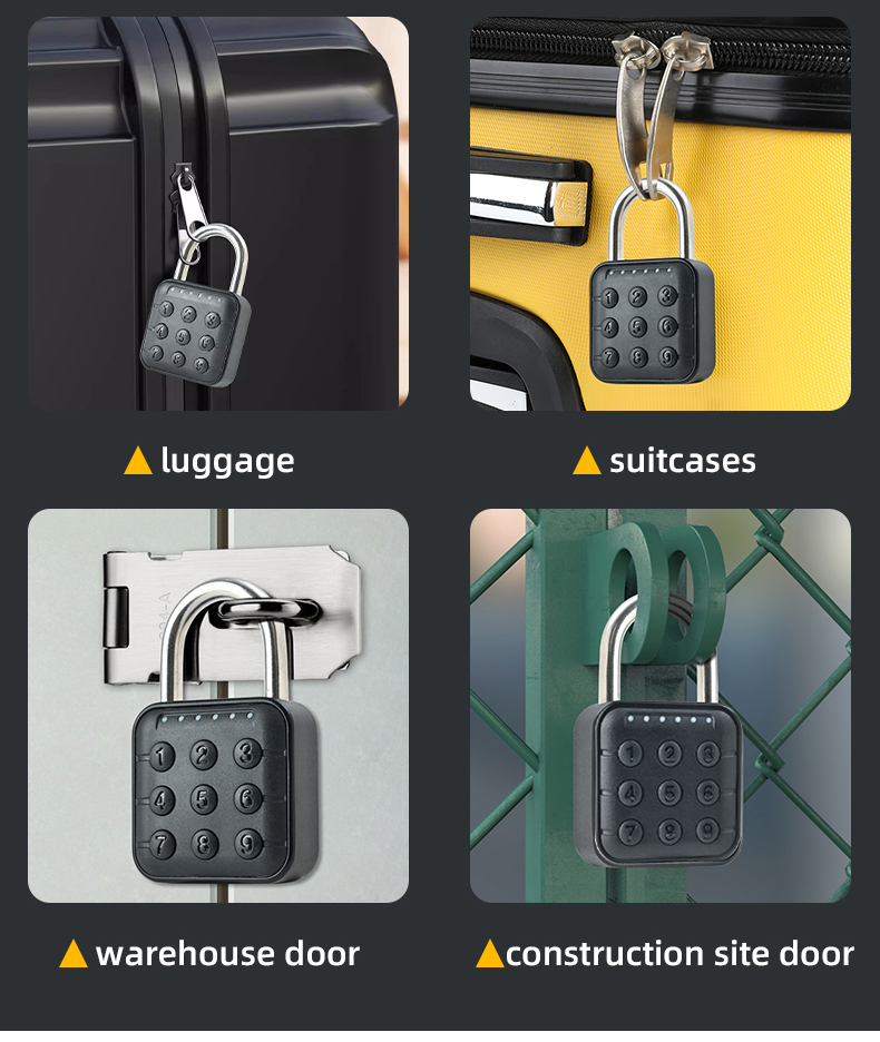 Password Padlock