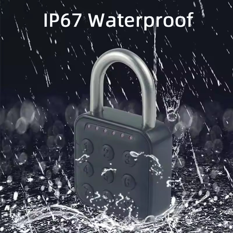 Password Padlock