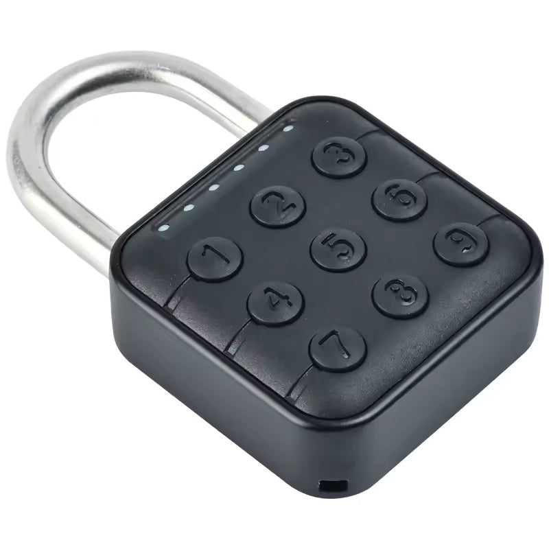Password Padlock